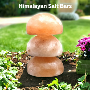 Himalayan Salt Detox Massage Bars - Garden of Eden Pure Fragrance
