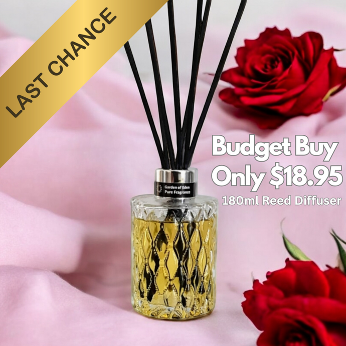 BUDGET BUY - Artisan Reed Diffuser Glass Bottle, 180ml