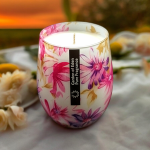Daisy Jar, Single Wicked, X Large 450g Natural Soy Wax Candle - Garden of Eden Pure Fragrance