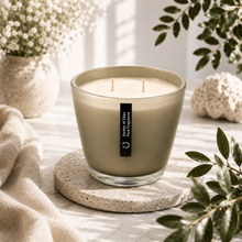 Load image into Gallery viewer, Frosted Warm Grey Glass Jar 520g Double Wicked Natural Soy Wax Candle Just $33.95