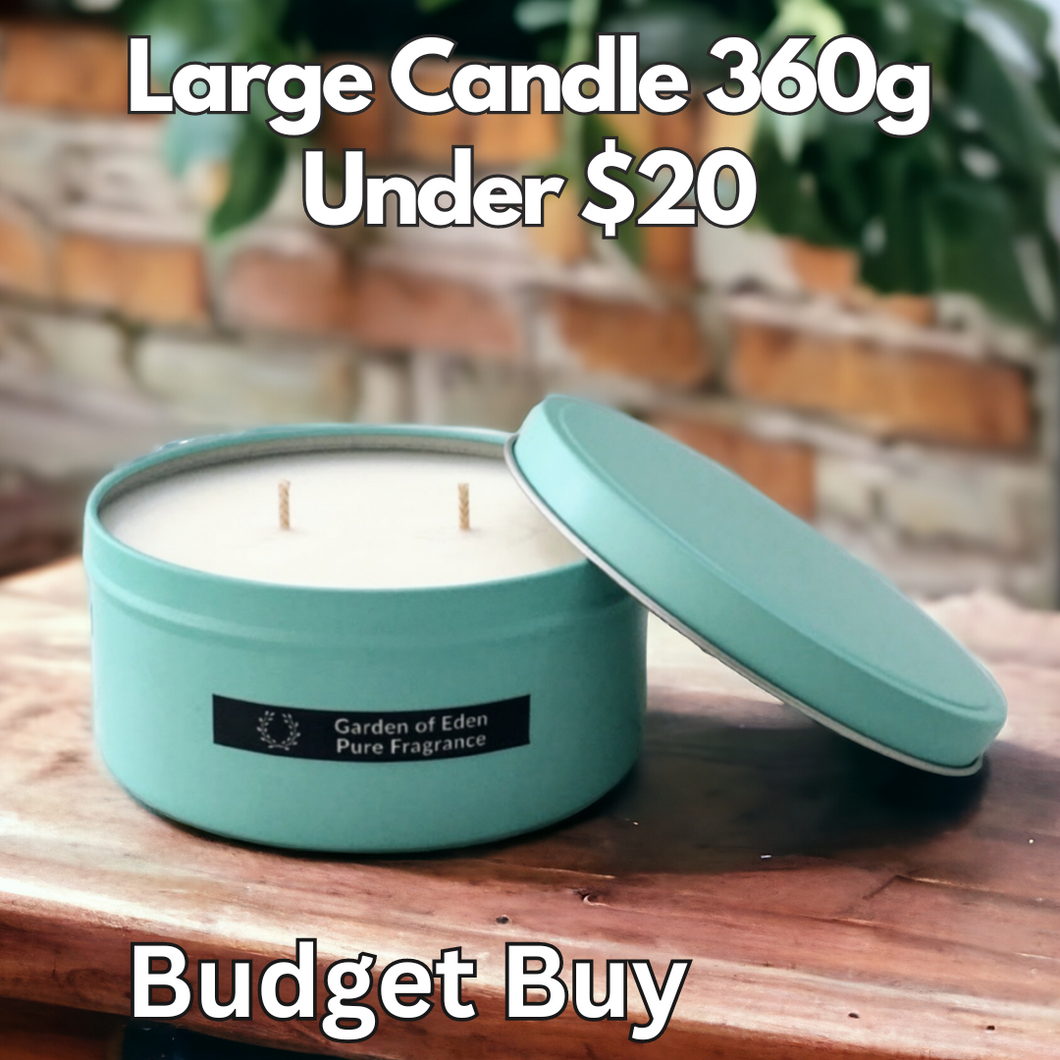 Budget Buy Large 11cm Wide Tiffany Blue Tin, Double Wicked Natural Soy Wax Candle, 360g - Garden of Eden Pure Fragrance