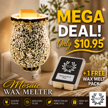 Load image into Gallery viewer, New Financial Year Sale | $10.95 - Stunning Mosaic Reflective Plug In Wax Melter  + **1 Free Wax Melt Pack** - Garden of Eden Pure Fragrance