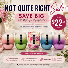 Load image into Gallery viewer, HUGE NOT QUITE RIGHT SALE JUST $22.95