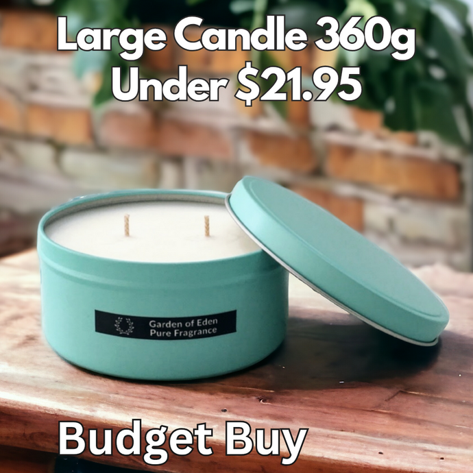 Budget Buy Large 11cm Wide Tiffany Blue Tin, Double Wicked Natural Soy Wax Candle, 360g