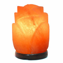 Load image into Gallery viewer, Light Bulbs for Himalayan Salt Lamps - Garden of Eden Pure Fragrance